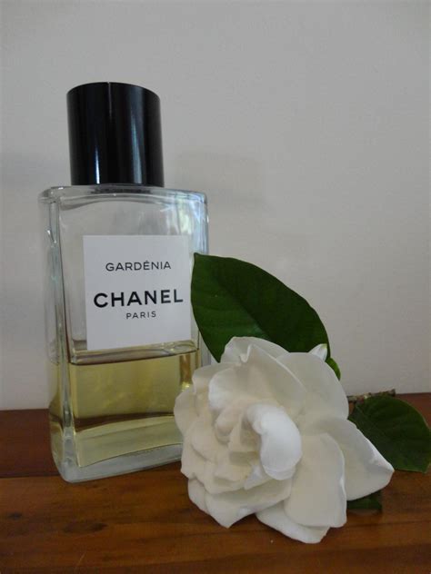 chanel gardenia macy's|gardénia perfume 2016.